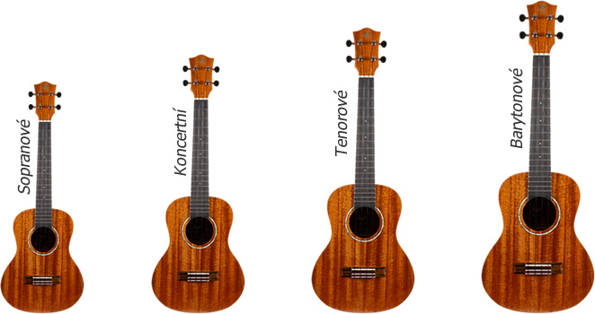 typy ukulele